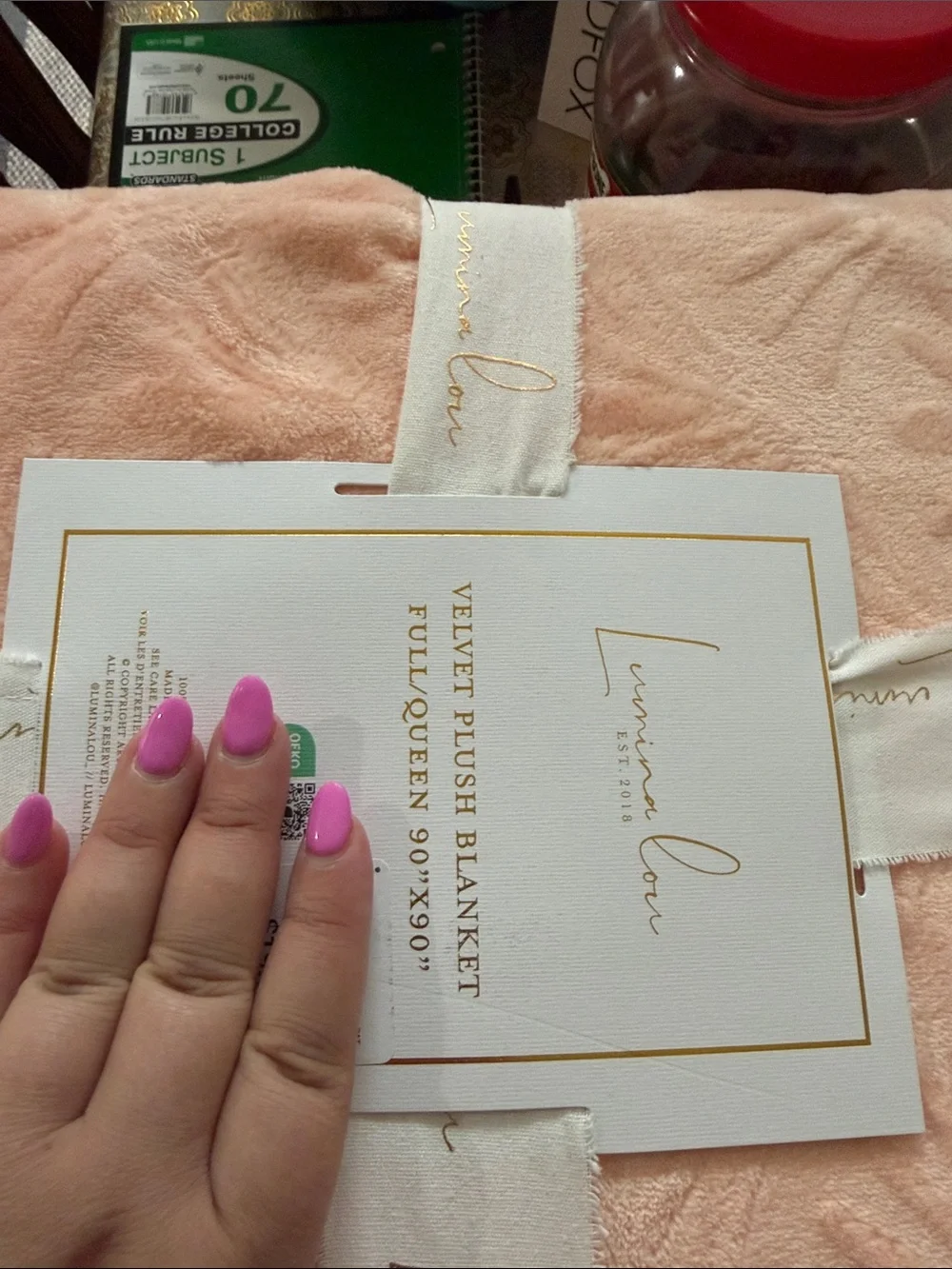 Velvet Plush Blanket - Blush Pink (Full/Queen)